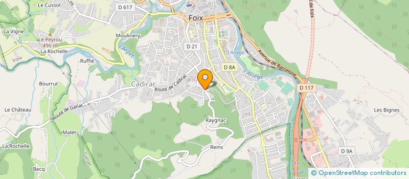 localisation de l'entreprise CTRE MEDICO SPORTIF DEPT ARIEGE PYRENEES à FOIX