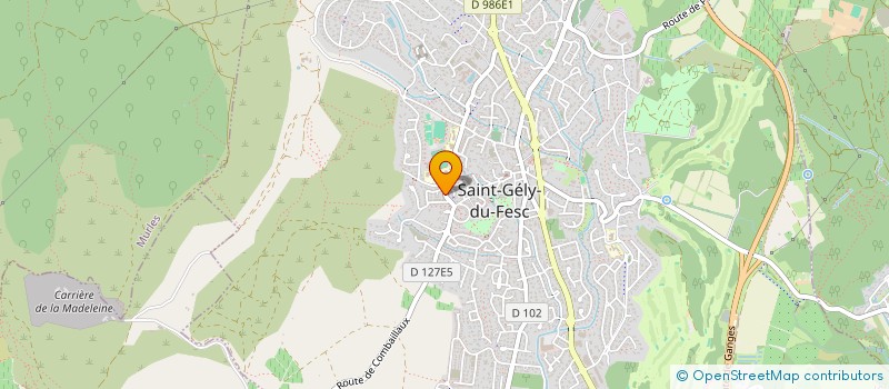 localisation de l'entreprise CTRE PEDAGOG PRIVE INFECO ST GILLOIS  SAINT-GELY-DU-FESC