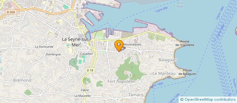 localisation de l'entreprise CULTURA DE OURO à LA SEYNE-SUR-MER