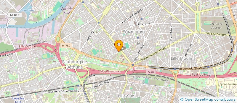 localisation de l'entreprise CULTURES DU MONDE à LILLE