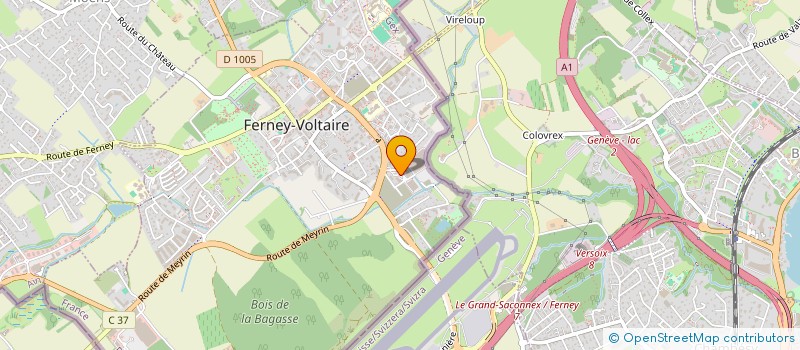 localisation de l'entreprise CULTURES ET CINEMA à FERNEY-VOLTAIRE