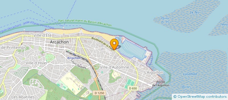 localisation de l'entreprise CYANA-ARCACHON  ARCACHON