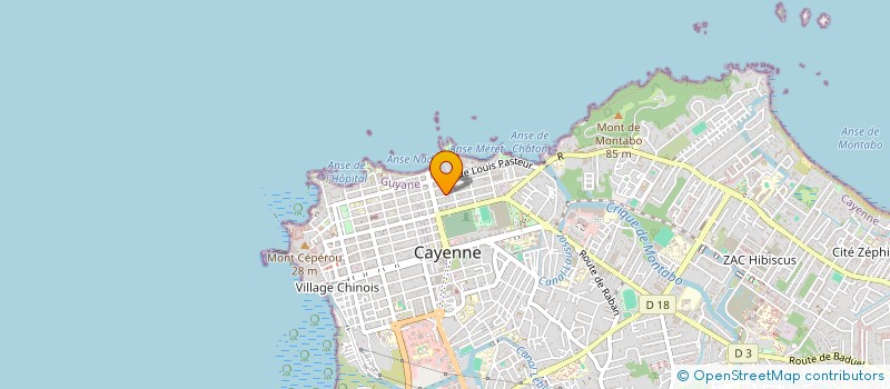 localisation de l'entreprise CYBER SERVICES PLUS à CAYENNE