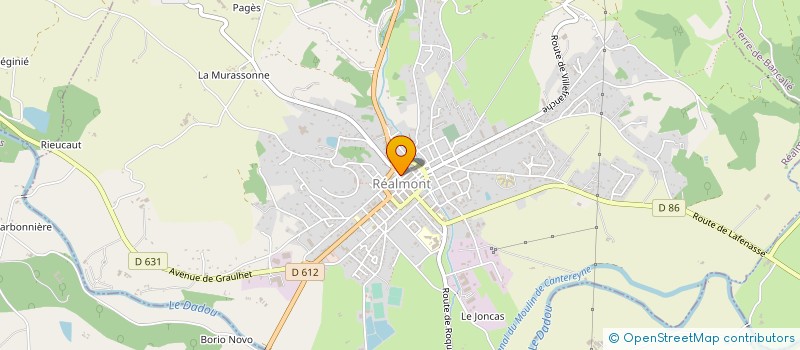 localisation de l'entreprise CYCLOTOURISTES REALMONTAIS à REALMONT