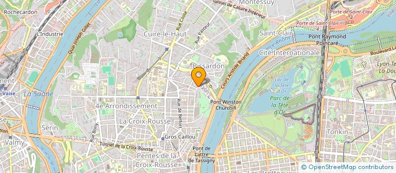localisation de l'entreprise CYDEL DEVELOPPEMENT à LYON