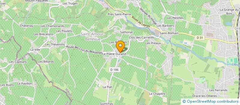 localisation de l'entreprise CYPA  SAINT-AMOUR-BELLEVUE