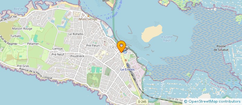 localisation de l'entreprise CYTTING PUB  LE CROISIC