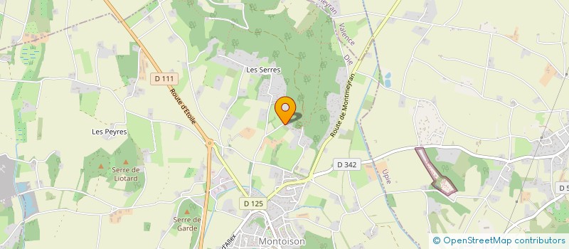 localisation de l'entreprise D 3 P  MONTOISON