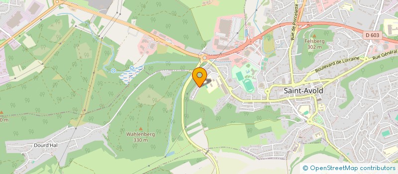 localisation de l'entreprise D'ESSIN  SAINT-AVOLD