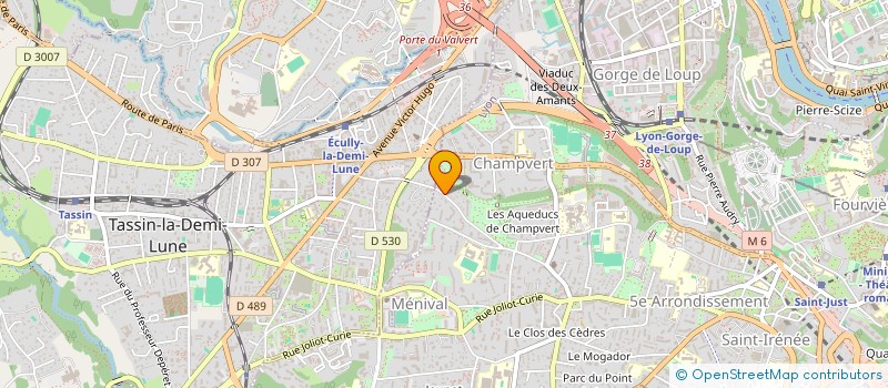 localisation de l'entreprise D-FINIUM à LYON