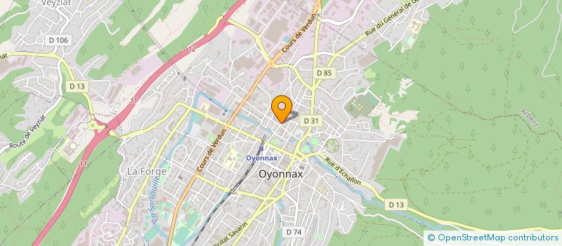 localisation de l'entreprise D.N. POLISSAGE à OYONNAX