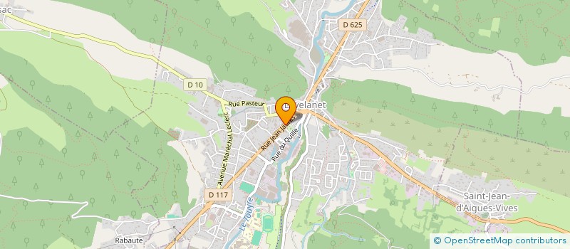 localisation de l'entreprise D'OLMES & TIC à LAVELANET