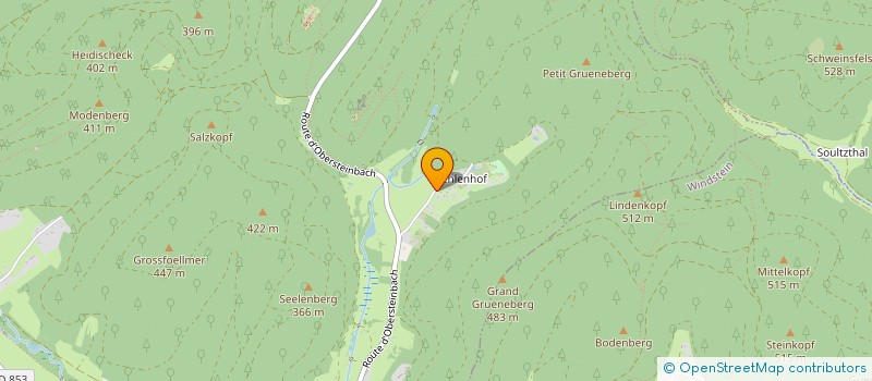 localisation de l'entreprise D.P.I.DEVELOPP PROJETS IMMOBILIERS  DAMBACH