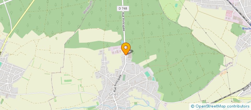 localisation de l'entreprise D&S-DISQUES ET SILICE  GRIES