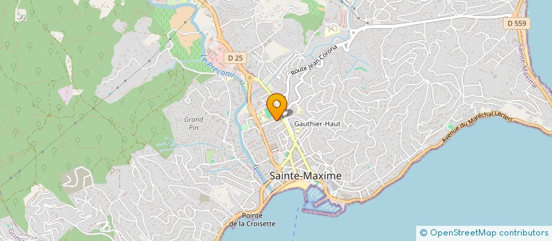 localisation de l'entreprise D T T à SAINTE-MAXIME