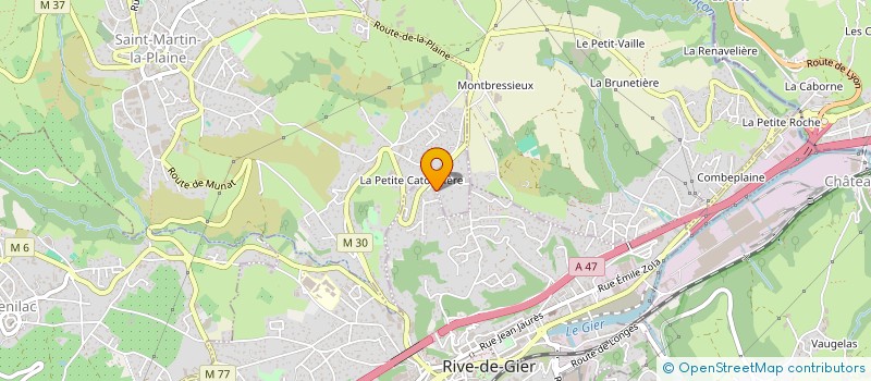 localisation de l'entreprise D2I CONSULTING & MANAGEMENT à RIVE-DE-GIER