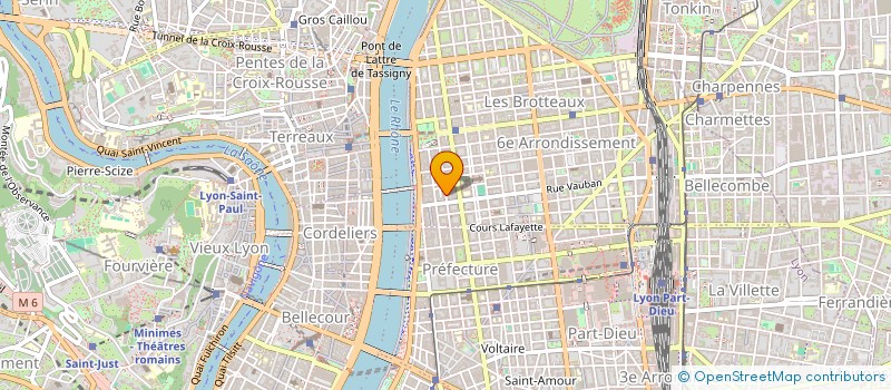 localisation de l'entreprise DA SILVA ADELINO LEMOS MARIO  LYON