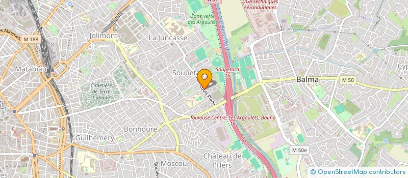 localisation de l'entreprise DA SILVA VITOR à TOULOUSE