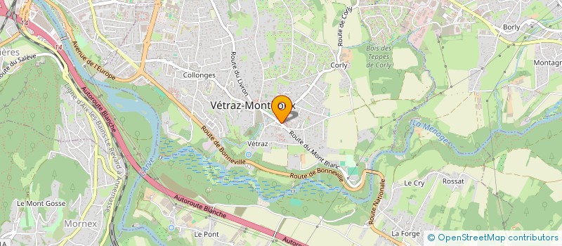 localisation de l'entreprise DAARA DES SENEGALAIS DE LA HAUTE-SAVOIE  VETRAZ-MONTHOUX