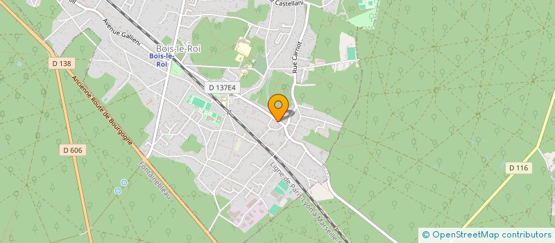 localisation de l'entreprise DAENERYS  BOIS LE ROI