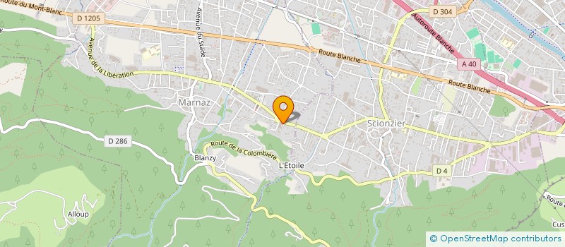 localisation de l'entreprise DAG IMMO  MARNAZ