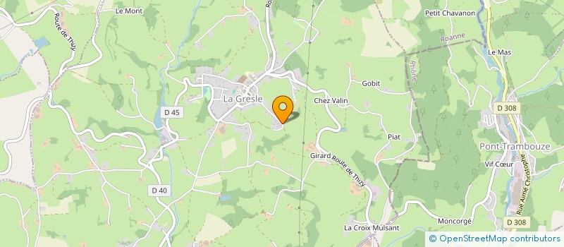 localisation de l'entreprise DAIMON  LA GRESLE