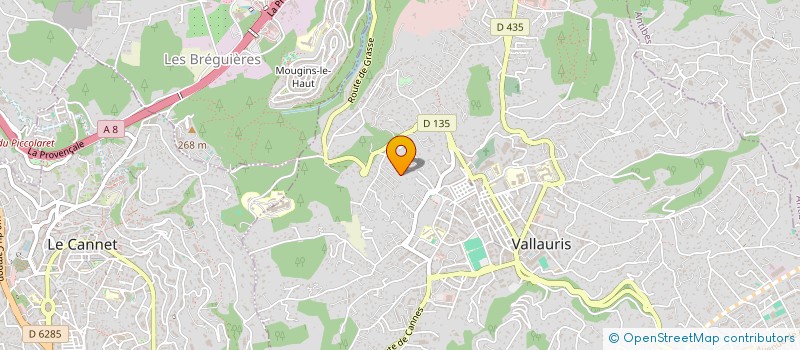 localisation de l'entreprise DAL CONSULTING  VALLAURIS