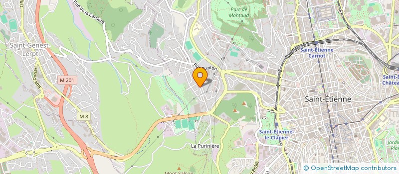 localisation de l'entreprise DALESS  SAINT-ETIENNE