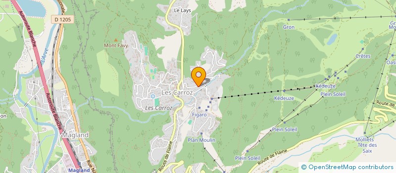 localisation de l'entreprise DALIE  ARACHES-LA-FRASSE