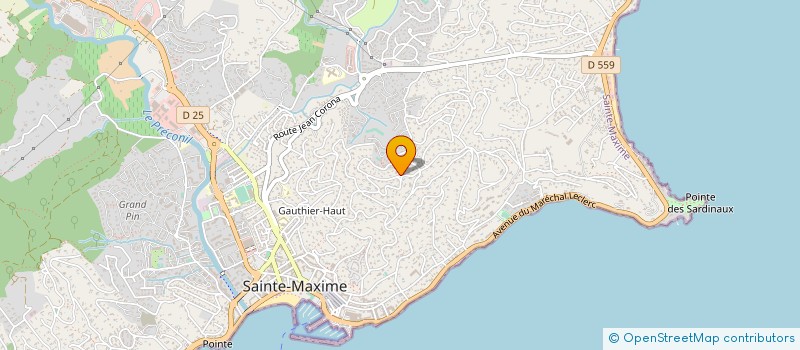 localisation de l'entreprise DALMAZZINI à SAINTE-MAXIME