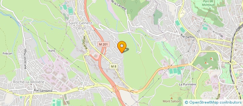 localisation de l'entreprise DALTI  SAINT-ETIENNE