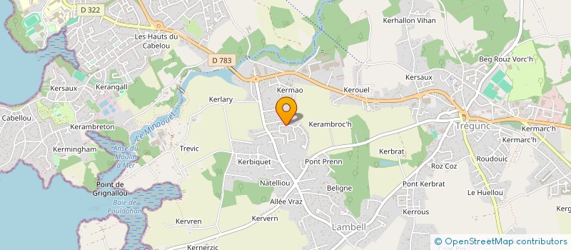 localisation de l'entreprise DALUJO  TREGUNC