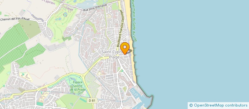 localisation de l'entreprise DALVI DEVELOPPEMENT  ST CYPRIEN