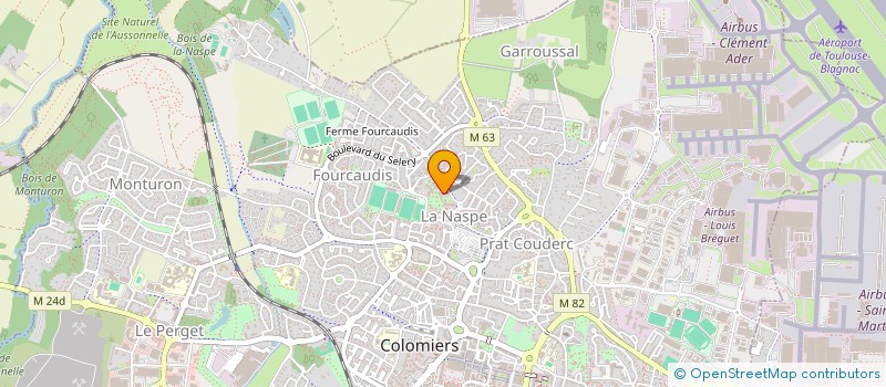 localisation de l'entreprise DAM SERVICES à COLOMIERS