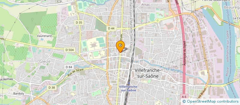 localisation de l'entreprise DAME EN POESIE à LYON