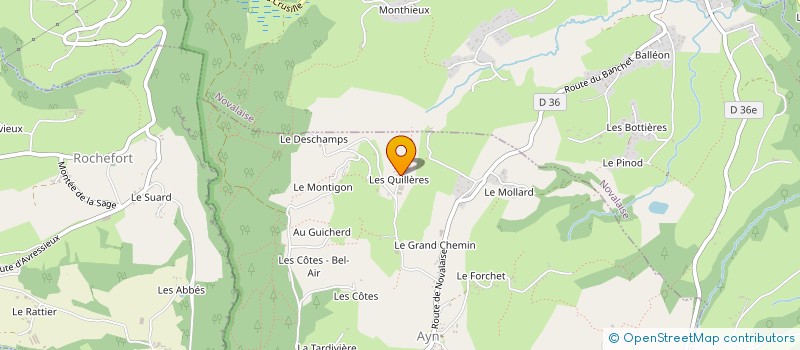 localisation de l'entreprise DAMIAN REGIS   AYN