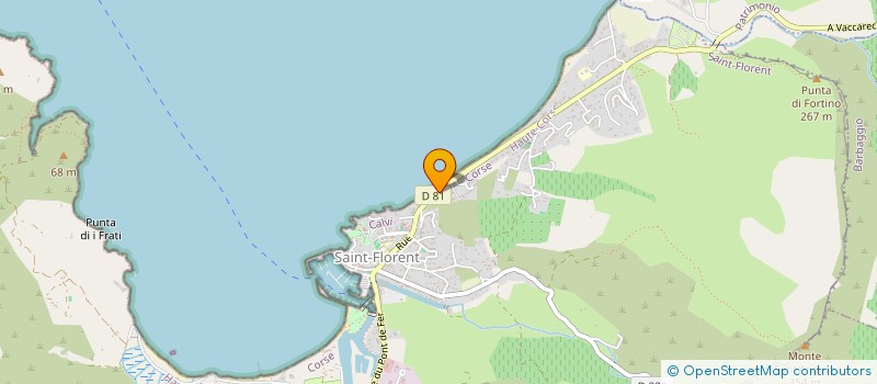 localisation de l'entreprise DANA LORE MUSICA  SAINT-FLORENT