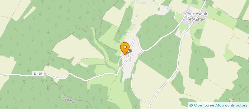 localisation de l'entreprise DANCING DREAM  GRAY