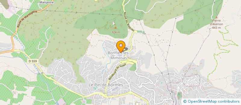localisation de l'entreprise DANDINE MATHIAS à BORMES-LES-MIMOSAS