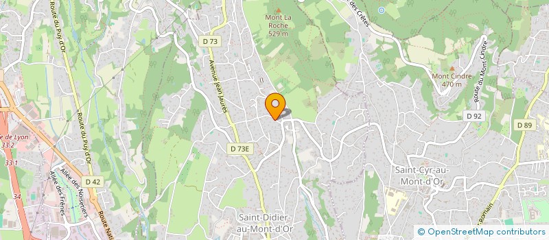 localisation de l'entreprise DANDY  SAINT-DIDIER-AU-MONT-D'OR