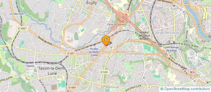 localisation de l'entreprise DANDY DOG  TASSIN-LA-DEMI-LUNE