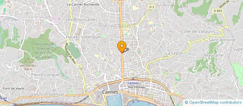 localisation de l'entreprise DANESI-MORANT WALCH à CANNES