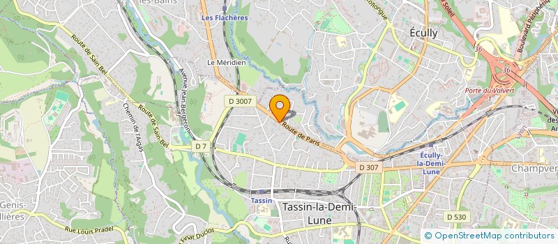 localisation de l'entreprise DANGDONG CASSIOPEE  TASSIN-LA-DEMI-LUNE