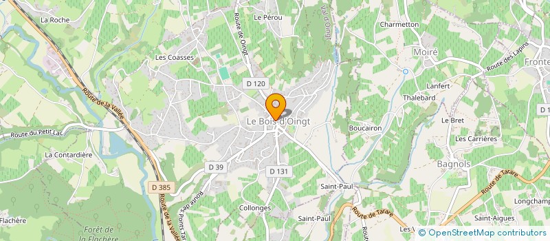 localisation de l'entreprise DANIE'DEFI  VAL D'OINGT