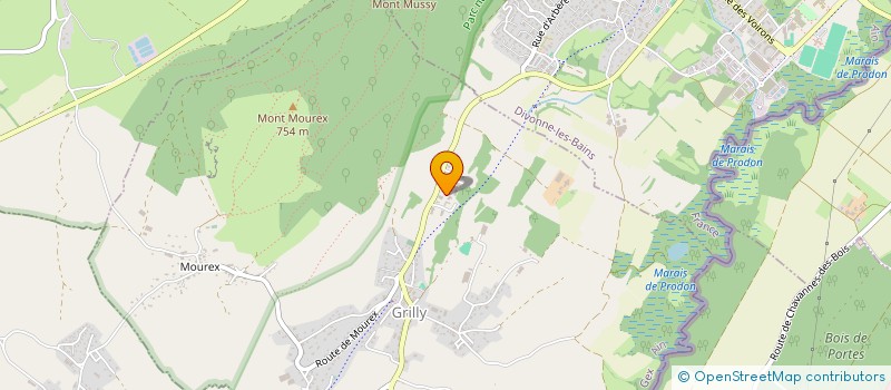 localisation de l'entreprise DANIEL MICHELIN FRANCE  GRILLY