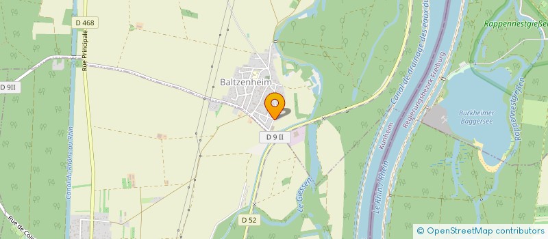 localisation de l'entreprise DANIELE MOSCHENI SASU  BALTZENHEIM