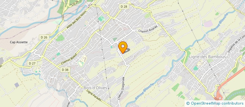 localisation de l'entreprise DANS LES YEUX DE STITCH  SAINT-PIERRE