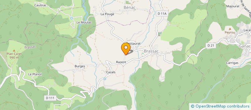 localisation de l'entreprise DANSANT AVEC NOS SENS ET ENERGIE à BRASSAC