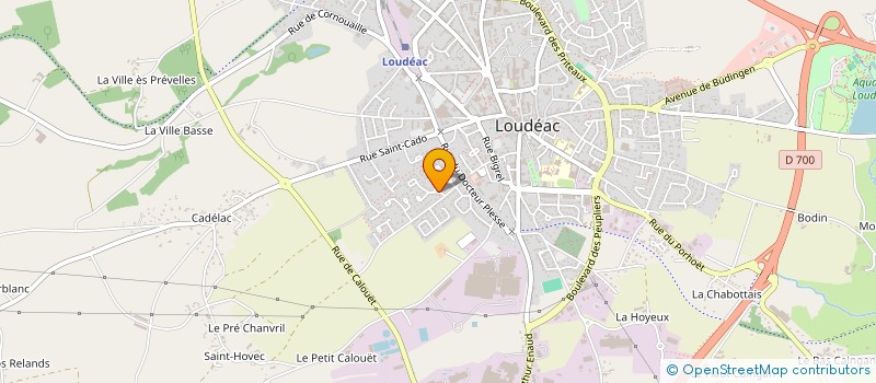 localisation de l'entreprise DANSE ET FEU DE L'OUST (D.F.O.) à LOUDEAC
