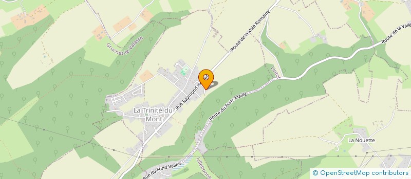 localisation de l'entreprise DANSE PASSION  LA TRINITE-DU-MONT